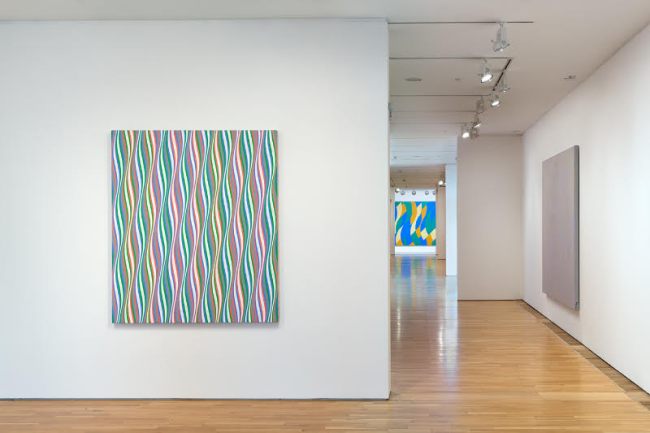 Bridget Riley, The Curve Paintings 1961-2014 installation at DLWP. © Bridget Riley 2015. All rights reserved, courtesy Karsten Schubert, London