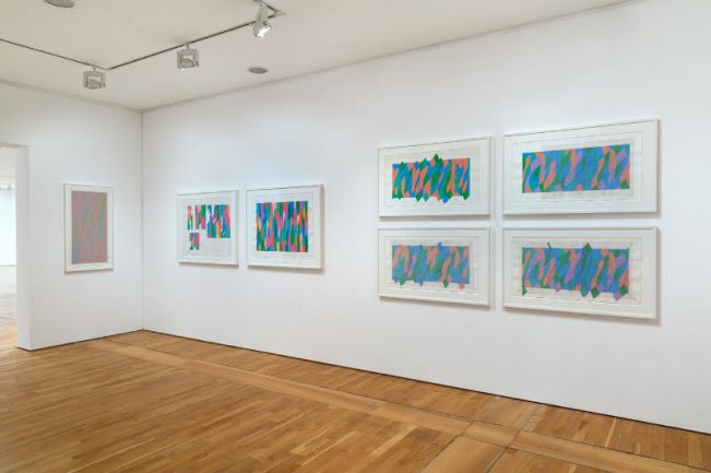 Bridget Riley, The Curve Paintings 1961-2014 installation at DLWP. © Bridget Riley 2015. All rights reserved, courtesy Karsten Schubert, London